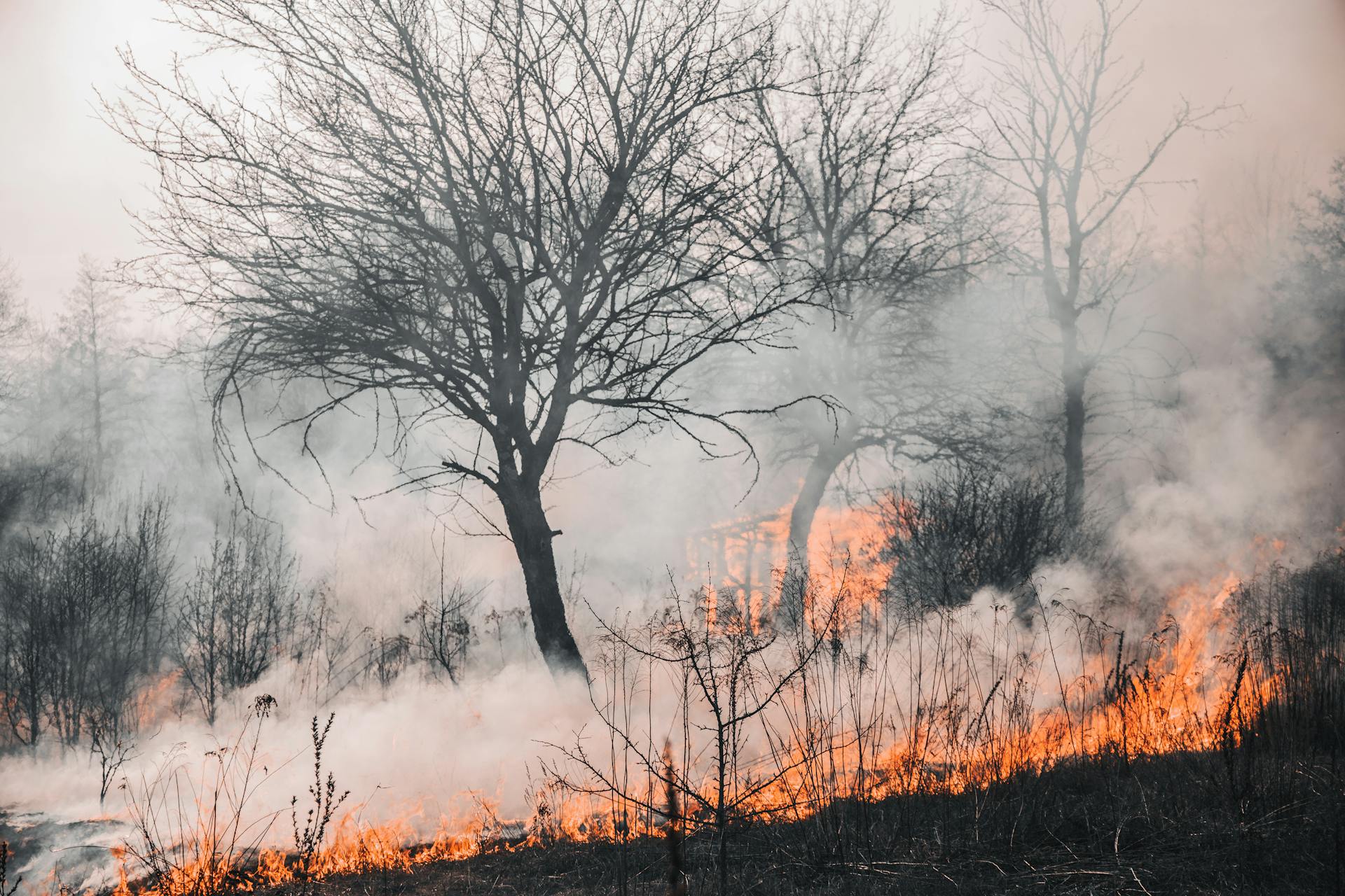 Prescrizioni antincendio 2026