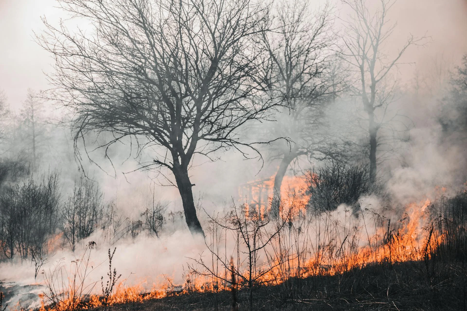 Prescrizioni antincendio 2026