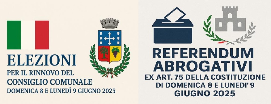 esercizio del voto a domicilio per elettori affetti da infermità